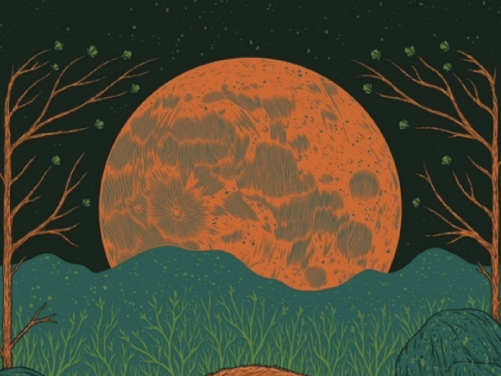 Detail of full moon from Vulpes Vulpes (fox) screenprint