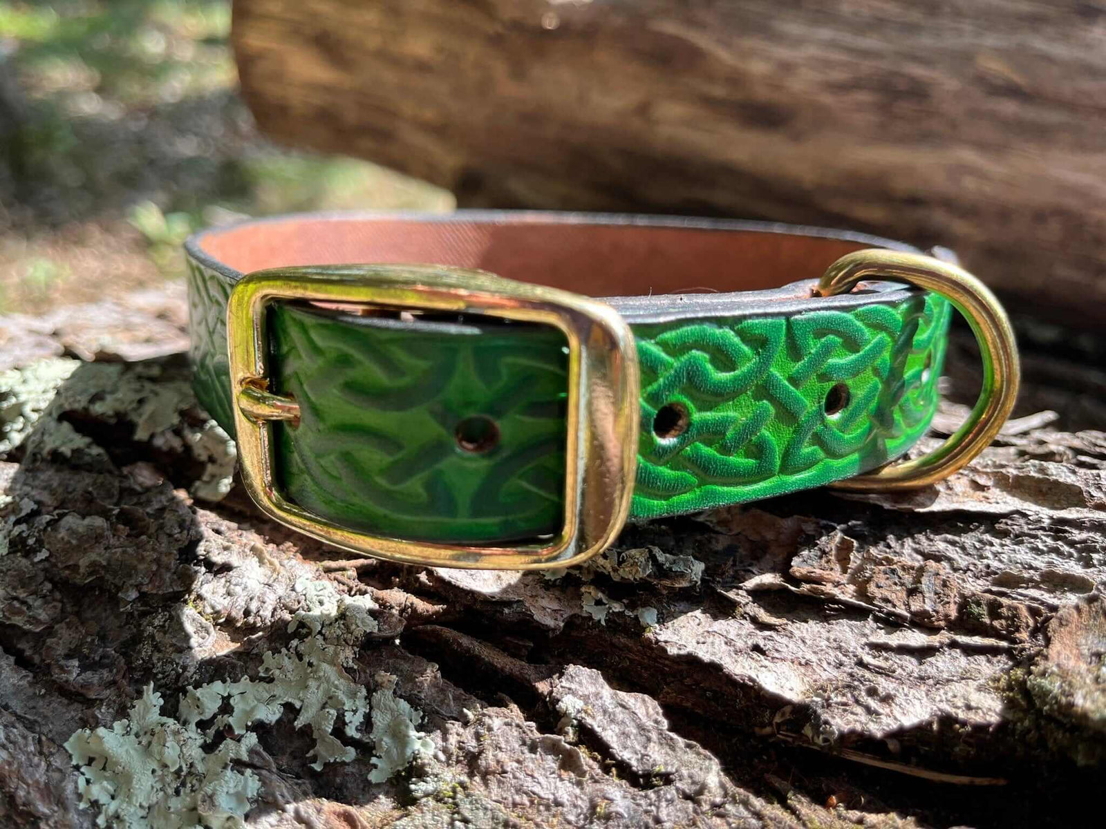 Handcrafted Celtic Leather dog collar with brass buckle. Green