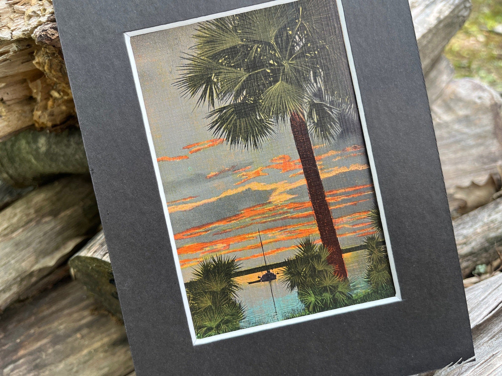 1944 vintage linen postcard of Florida scene with mat