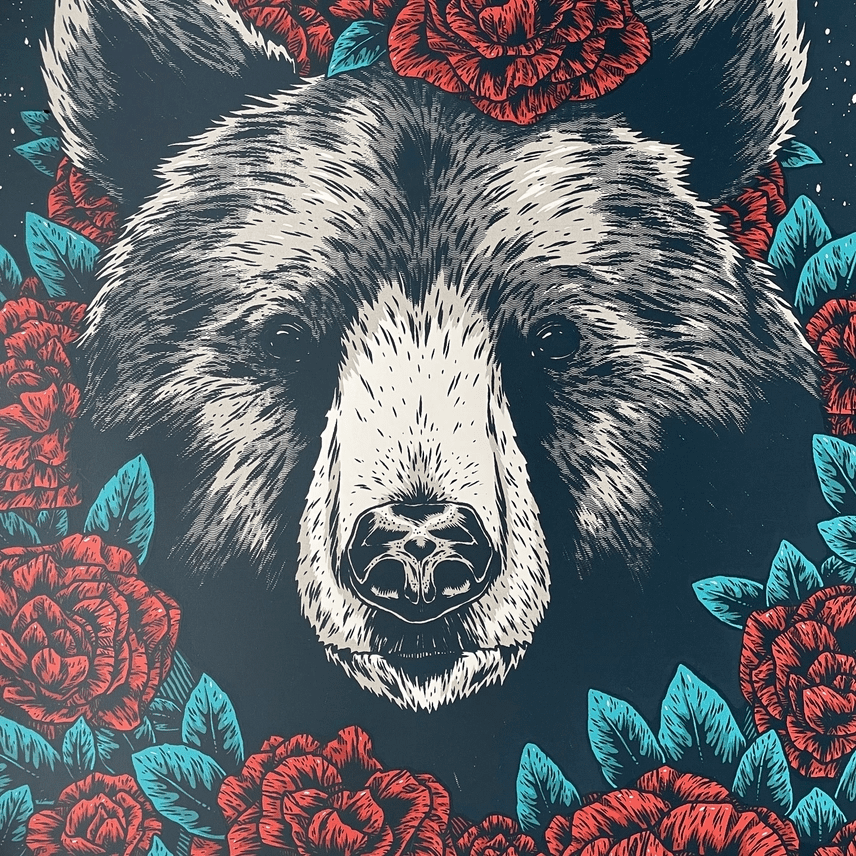 Closeup of face of bear American Beauty by Logan Schmitt screenprint