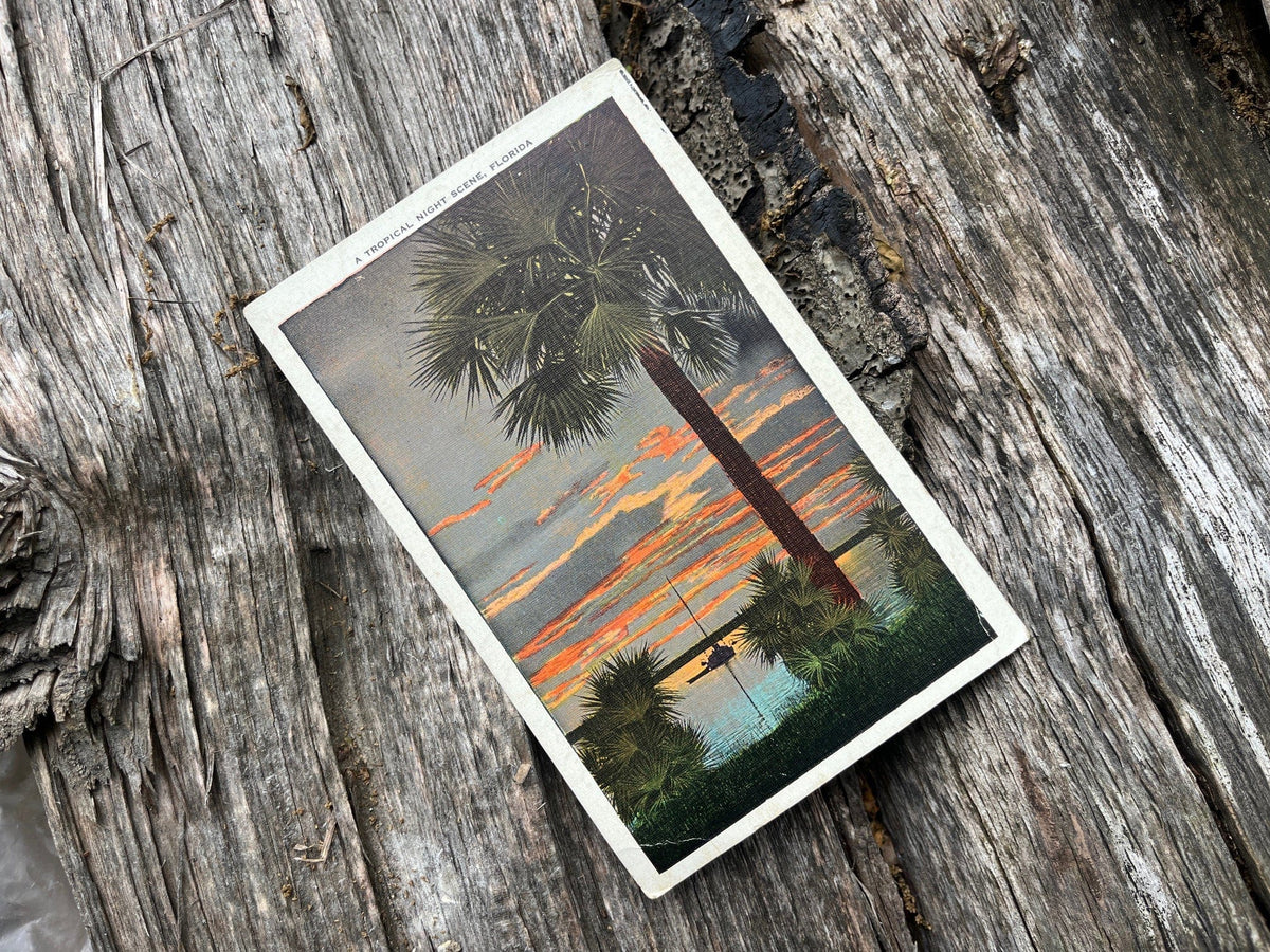 EC Kropp Co. 1944 Florida postcard. Front.