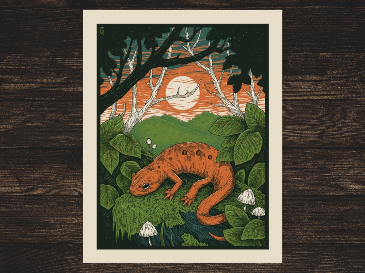 Illustration of a red salamander in a forest setting with a moonlit sky.
