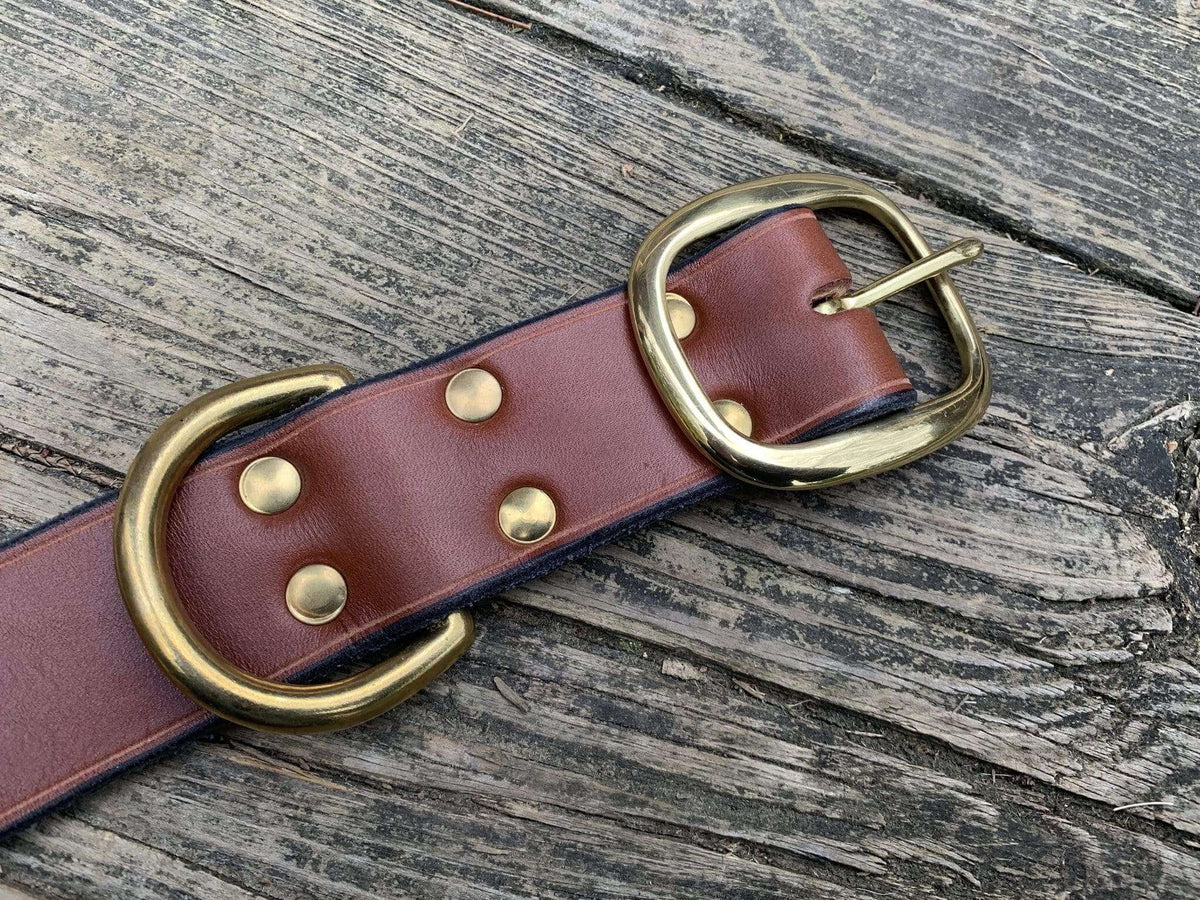 Brown leather dog collar with solid brass hardware. Buckle detail. 