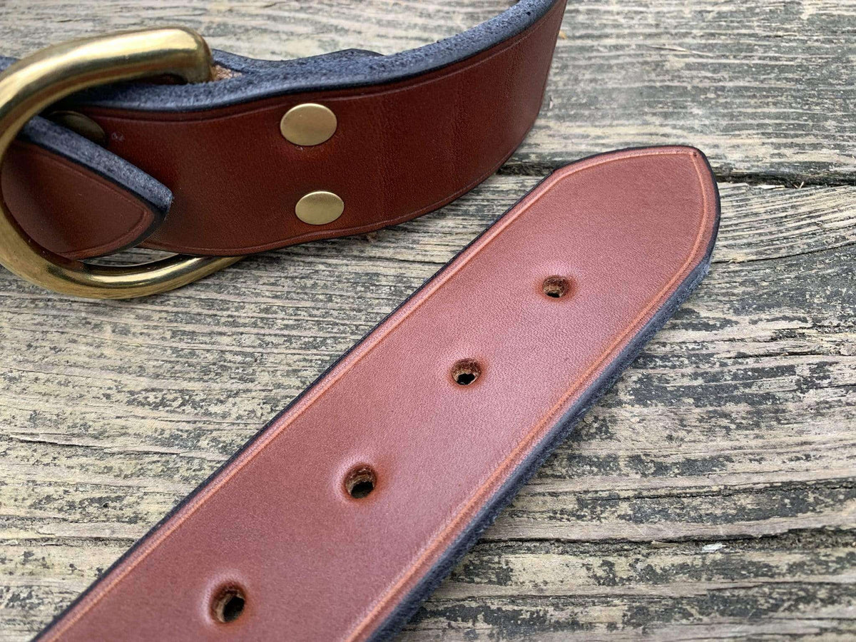 Detail of brown bridle leather dog collar. 
